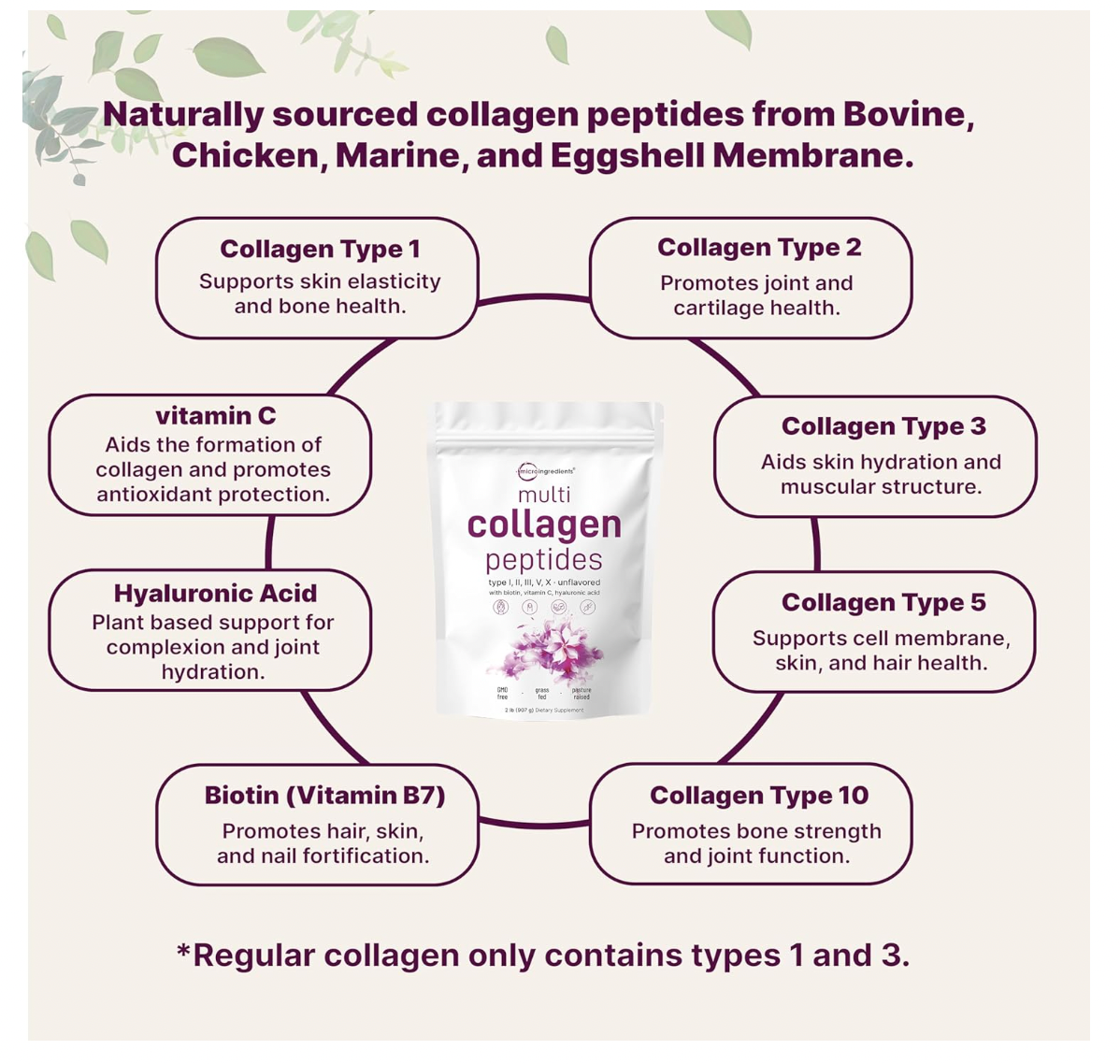 Multi-Collagen Peptides